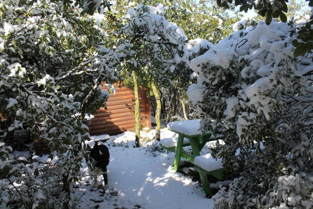 Вилла פסגת מתת Pisgat Mattat Экстерьер фото