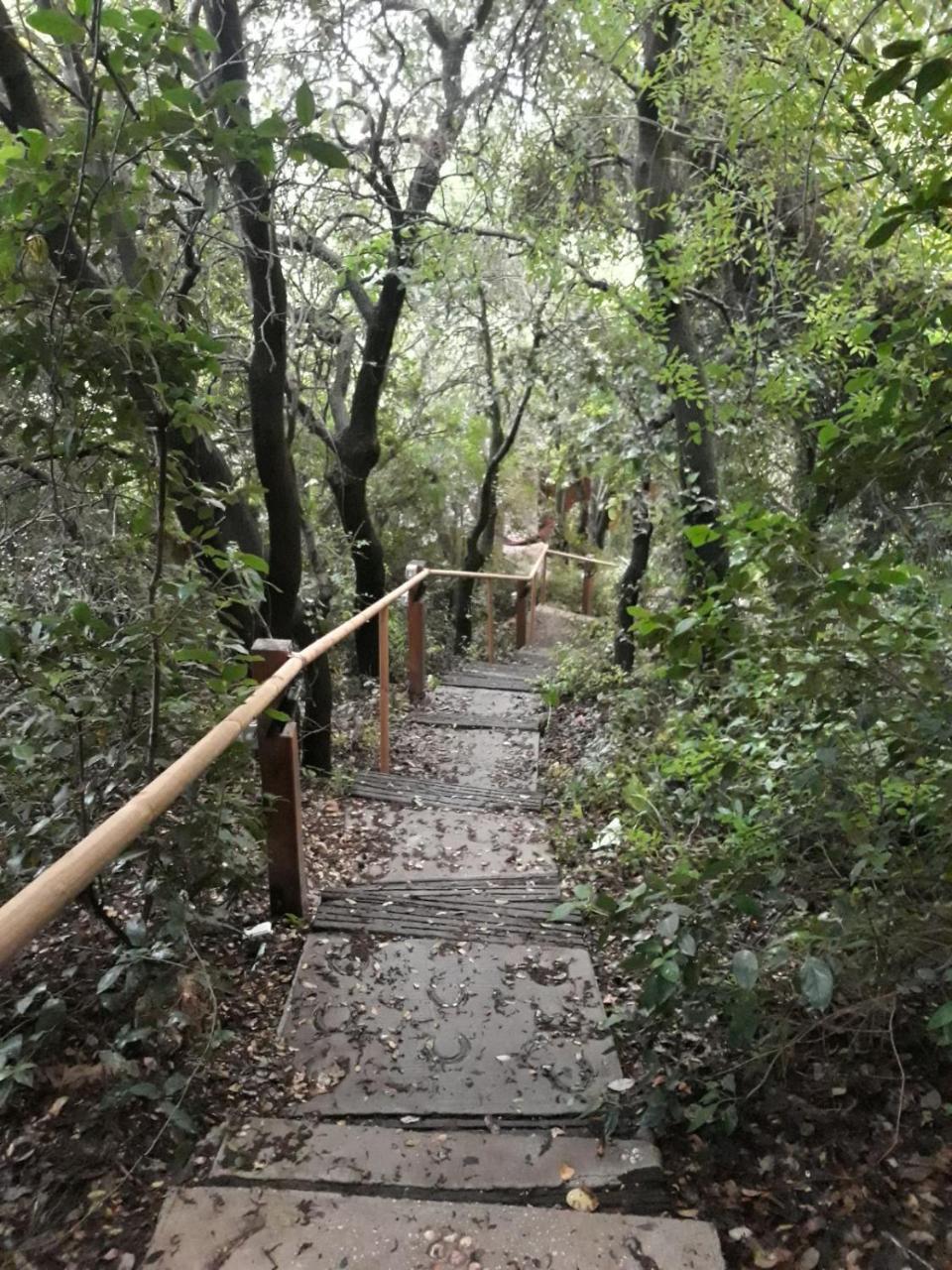 Вилла פסגת מתת Pisgat Mattat Экстерьер фото